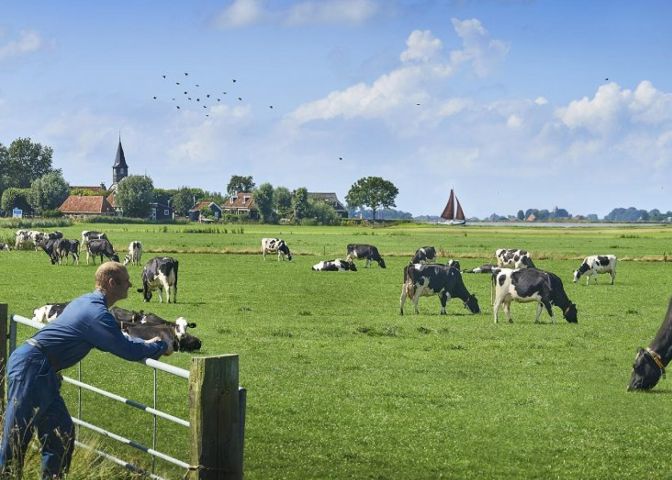 IND Industry Quality Reliability Safety 1