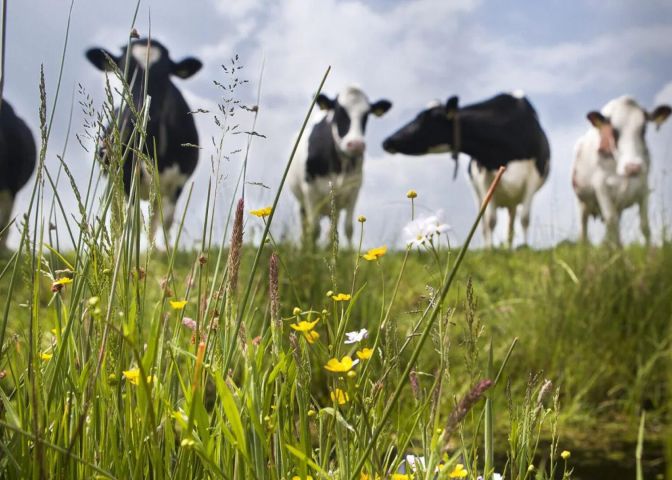 IND Industry Sustainability 1